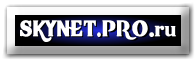 skynet-pro.clan.su
